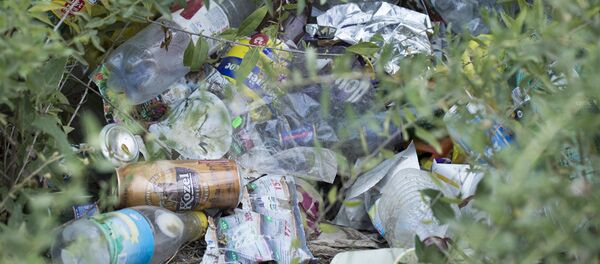 gunoi - Sputnik Moldova