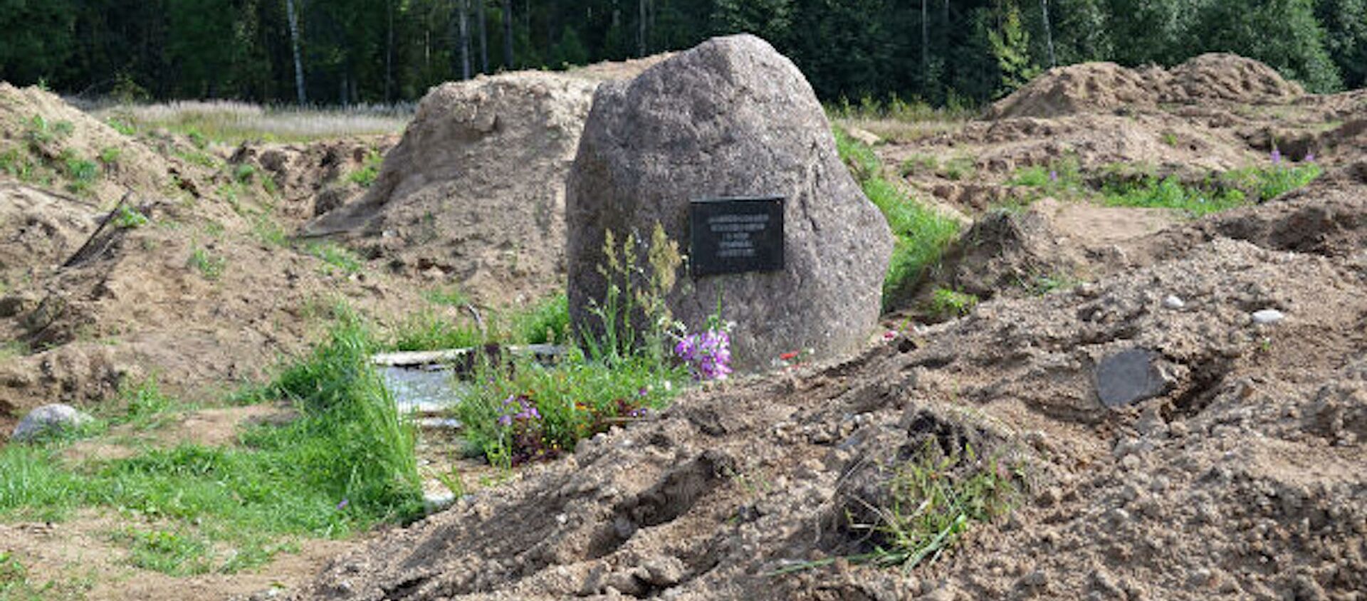 Место раскопок в районе деревни Жестяная Горка, где следователи обнаружили около 500  тел жертв латвийских карателей - Sputnik Молдова, 1920, 27.08.2019