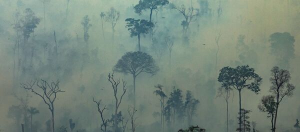 Вид на природные пожары в лесах Амазонии, Бразилия  - Sputnik Moldova-România