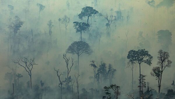 Вид на природные пожары в лесах Амазонии, Бразилия  - Sputnik Moldova-România