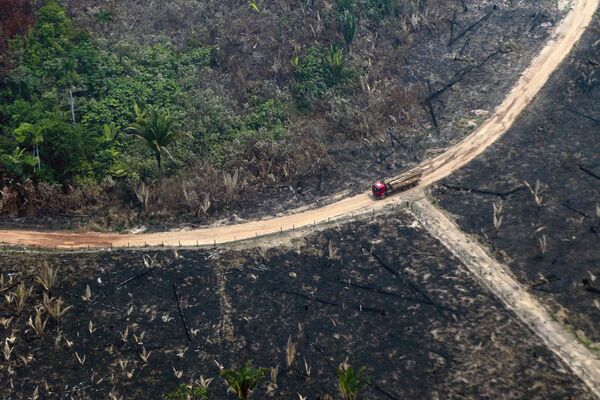 Вид сверху на сгоревший лес Амазонки - Sputnik Moldova-România