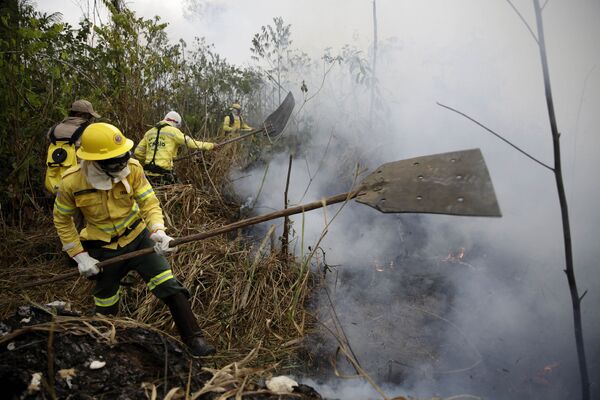 Пожарные тушат пожар неподалеку от города Порто-Велью в Бразилии - Sputnik Moldova-România