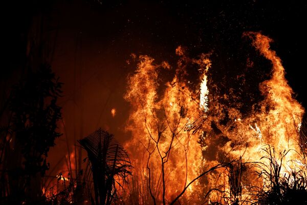 Пожары в бразильской Амазонии - Sputnik Moldova-România