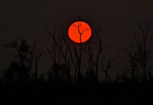 Заход солнца над выжженным лесом в бразильской Амазонии - Sputnik Moldova-România