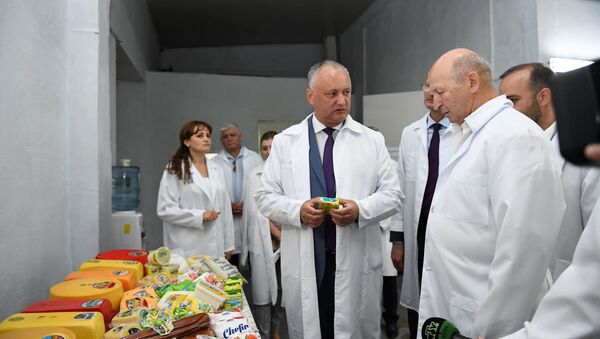 Președintele Igor Dodon și directorul Lactis Gheorghe Angheluță - Sputnik Moldova