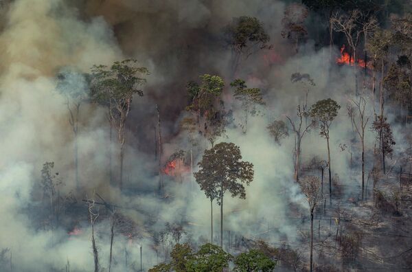 Лесные пожары в Бразилии  - Sputnik Молдова