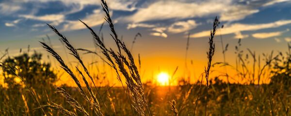 Природа - Sputnik Молдова