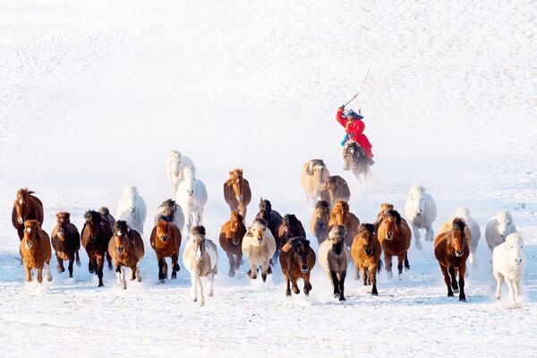 Снимок Snow Horseman фотографа из Мьянмы Zay Yar Lin, представленный на фотоконкурсе AGORA Awards 2019 - Sputnik Молдова
