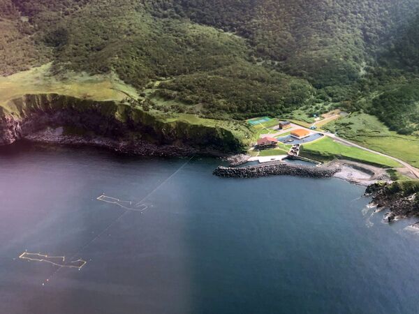 Прирученная экзотика: контрасты острова Итуруп Прирученная экзотика: контрасты острова Итуруп - Sputnik Молдова