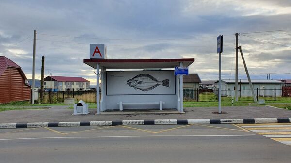 Прирученная экзотика: контрасты острова Итуруп Прирученная экзотика: контрасты острова Итуруп - Sputnik Молдова