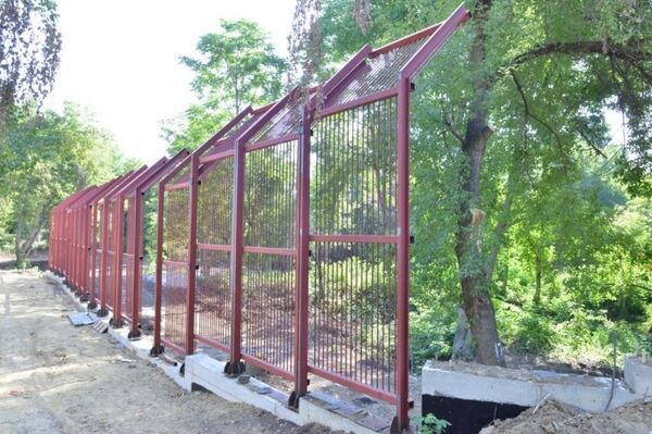 В Кишиневе медведи выйдут на свободу - что произошло - Sputnik Молдова