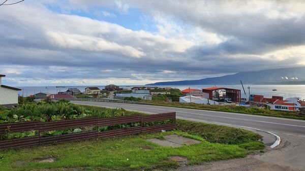 Печаль в глазах японцев: как живет остров Кунашир сегодня Печаль в глазах японцев: как живет остров Кунашир сегодня - Sputnik Молдова