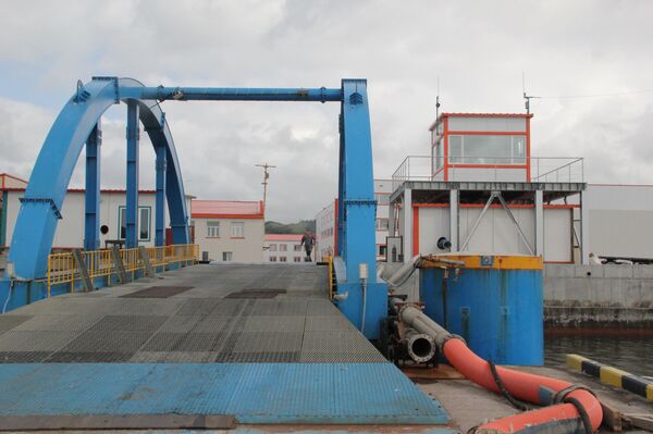 Золотая рыбка — это не сказка: исландцы едут на самый современный завод России - Sputnik Молдова