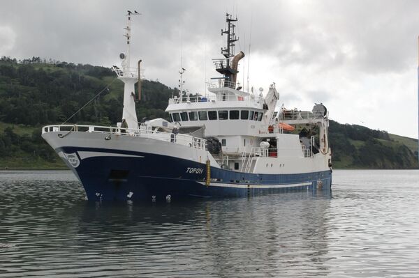 Золотая рыбка — это не сказка: исландцы едут на самый современный завод России - Sputnik Молдова