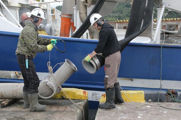 Золотая рыбка — это не сказка: исландцы едут на самый современный завод России - Sputnik Молдова