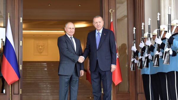 Рабочий визит президента РФ В. Путина в Турцию - Sputnik Moldova-România