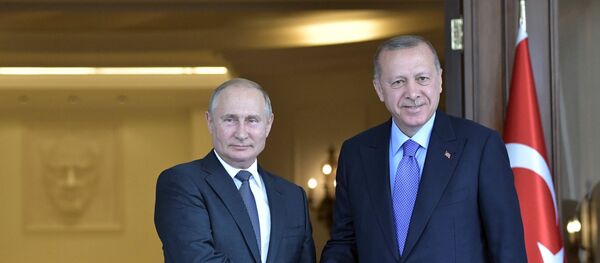 Рабочий визит президента РФ В. Путина в Турцию - Sputnik Moldova-România