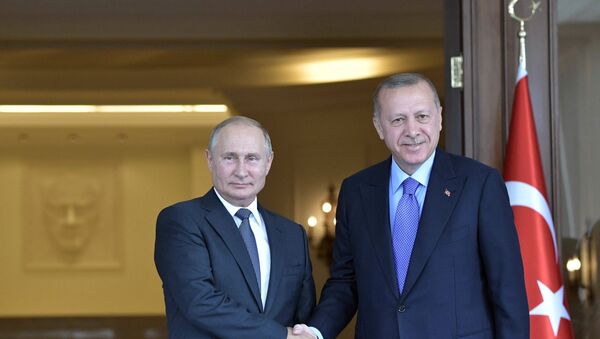 Рабочий визит президента РФ В. Путина в Турцию - Sputnik Moldova-România