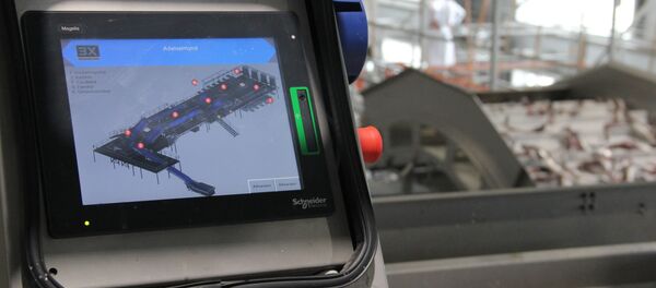 Новейшие технологии помогают координировать работу завода - Sputnik Молдова