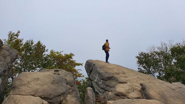 Потратить сто долларов и не пожалеть: чем способен удивить Сахалин Потратить сто долларов и не пожалеть: чем способен удивить Сахалин - Sputnik Молдова