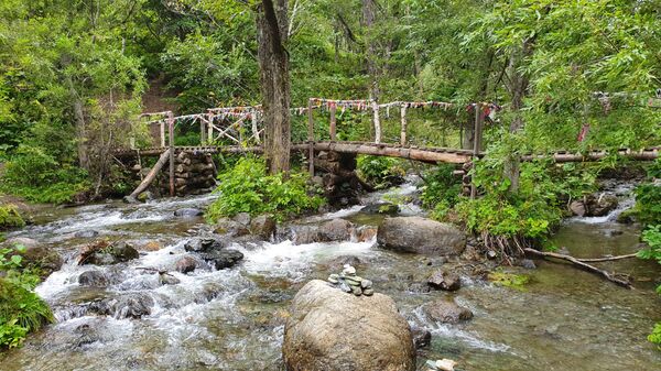 Потратить сто долларов и не пожалеть: чем способен удивить Сахалин Потратить сто долларов и не пожалеть: чем способен удивить Сахалин - Sputnik Молдова