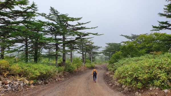 Строители из Узбекистана: на Курилах не обманывают — это не Москва - Sputnik Молдова
