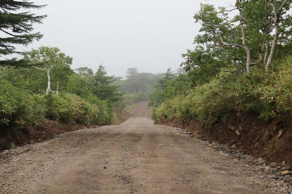 Строители из Узбекистана: на Курилах не обманывают — это не Москва - Sputnik Молдова