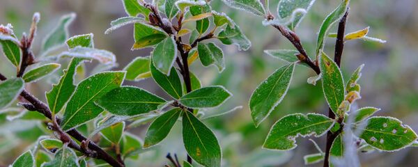 Регионы России. Мурманская область Регионы России. Мурманская область - Sputnik Moldova