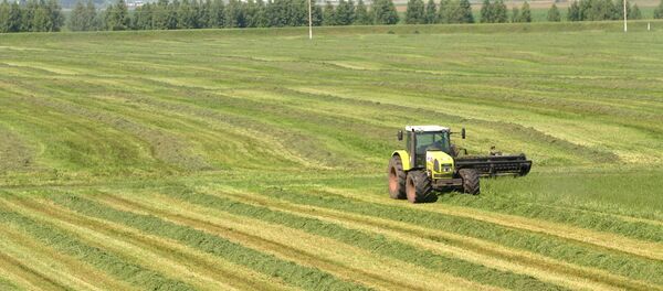 Agricultura Agricultura - Sputnik Moldova-România