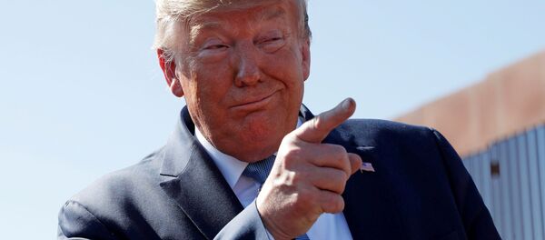 Президент США Дональд Трамп во время осмотра строящейся пограничной стены США-Мексика в приграничном городе Отай-Меса, Калифорния, США Президент США Дональд Трамп во время осмотра строящейся пограничной стены США-Мексика в приграничном городе Отай-Меса, Калифорния, США - Sputnik Moldova