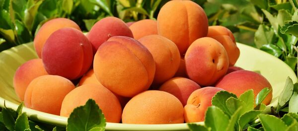 Абрикосы. - Sputnik Молдова