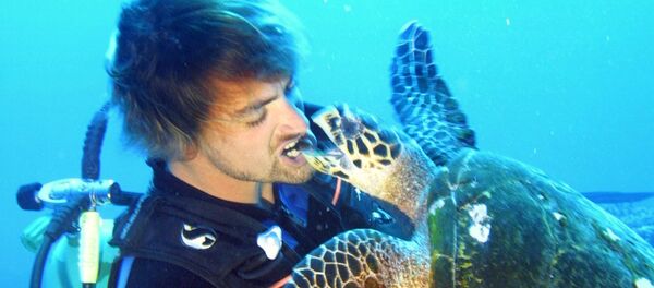 Аквалангист кормит черепаху у острова Муреа, Французская Полинезия Аквалангист кормит черепаху у острова Муреа, Французская Полинезия - Sputnik Молдова
