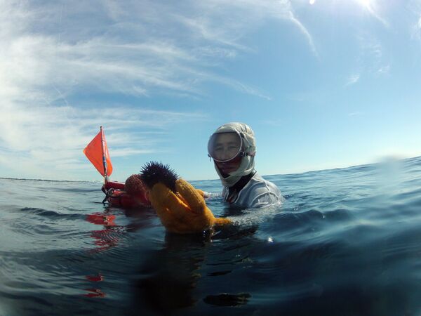 Женщина-водолаз держит пойманного на дне моря у побережья Сима морского ежа - Sputnik Молдова