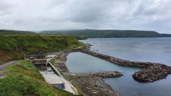 Сюда не приезжают пить кока-колу: что делать туристу на Курильских островах Сюда не приезжают пить кока-колу: что делать туристу на Курильских островах - Sputnik Молдова