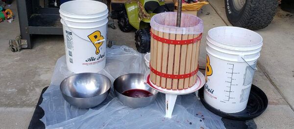 Moldovenii în SUA fac vin - Sputnik Moldova