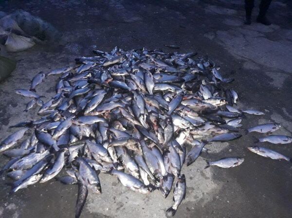 То, что сделали жители одного из молдавских сел, удивило пограничников То, что сделали жители одного из молдавских сел, удивило пограничников - Sputnik Молдова