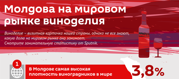 Молдова на мировом рынке виноделия Молдова на мировом рынке виноделия - Sputnik Молдова