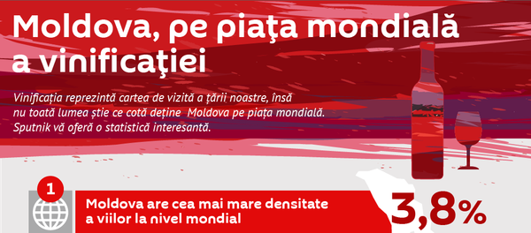 Moldova, pe piața mondială a vinificației - Sputnik Moldova