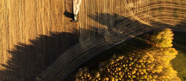 Уборка урожая зерновых в Новосибирской области - Sputnik Moldova-România