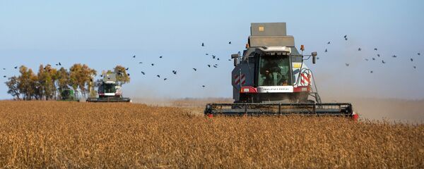 Lucrări agricole, recoltarea culturii de soia - Sputnik Moldova