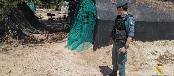 Desarticulada una organización delictiva que explotaba laboralmente a víctimas captadas en Rumanía y Moldavia - Sputnik Moldova