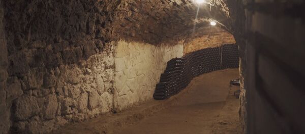 Самые старые винодельческие подвалы Молдовы в селе Леонтя - Sputnik Молдова