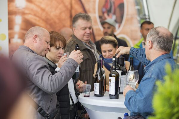 Иностранцы о Дне вина: мы такого не видели, у вас особенный праздник - Sputnik Молдова