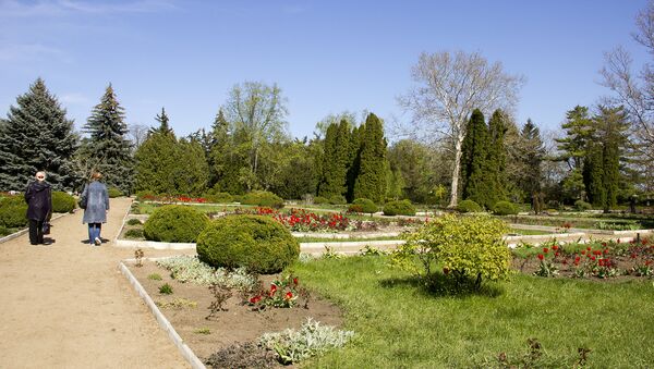 Grădina Botanică din Tiraspol - Sputnik Moldova