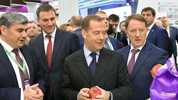 Премьер-министр РФ Д. Медведев посетил 21-ю Российскую агропромышленную выставку Золотая осень - Sputnik Moldova-România