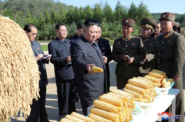 Северокорейский лидер Ким Чен Ын во время посещения фермы, КНДР - Sputnik Молдова