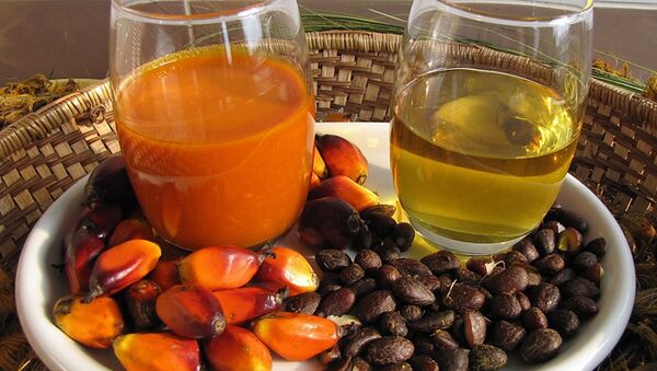 Слева красноватое пальмовое масло, приготовленное из мякоти плодов пальмового масла. Правое, прозрачное пальмовое масло из ядер - Sputnik Молдова