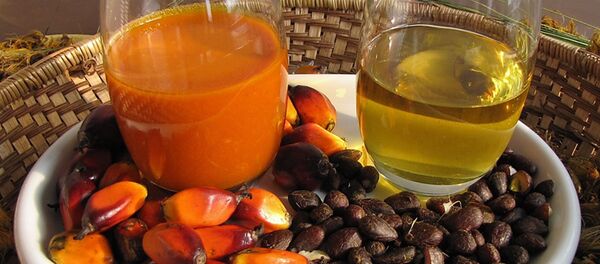 Слева красноватое пальмовое масло, приготовленное из мякоти плодов пальмового масла. Правое, прозрачное пальмовое масло из ядер - Sputnik Молдова