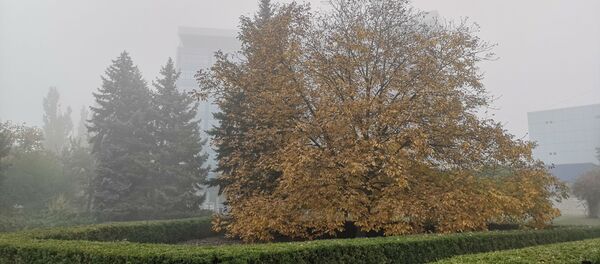  Туман в Кишиневе - Sputnik Moldova-România