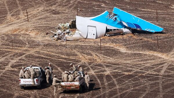 Место крушения российского самолета Airbus A321 в Египте - Sputnik Молдова